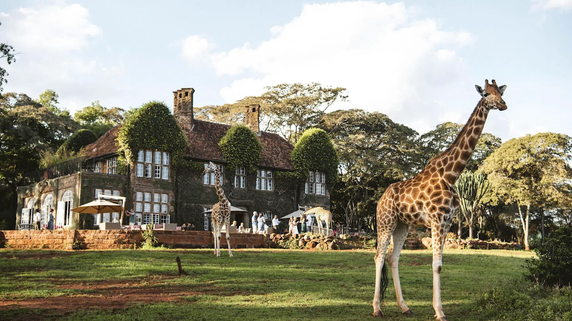 Giraffe Manor