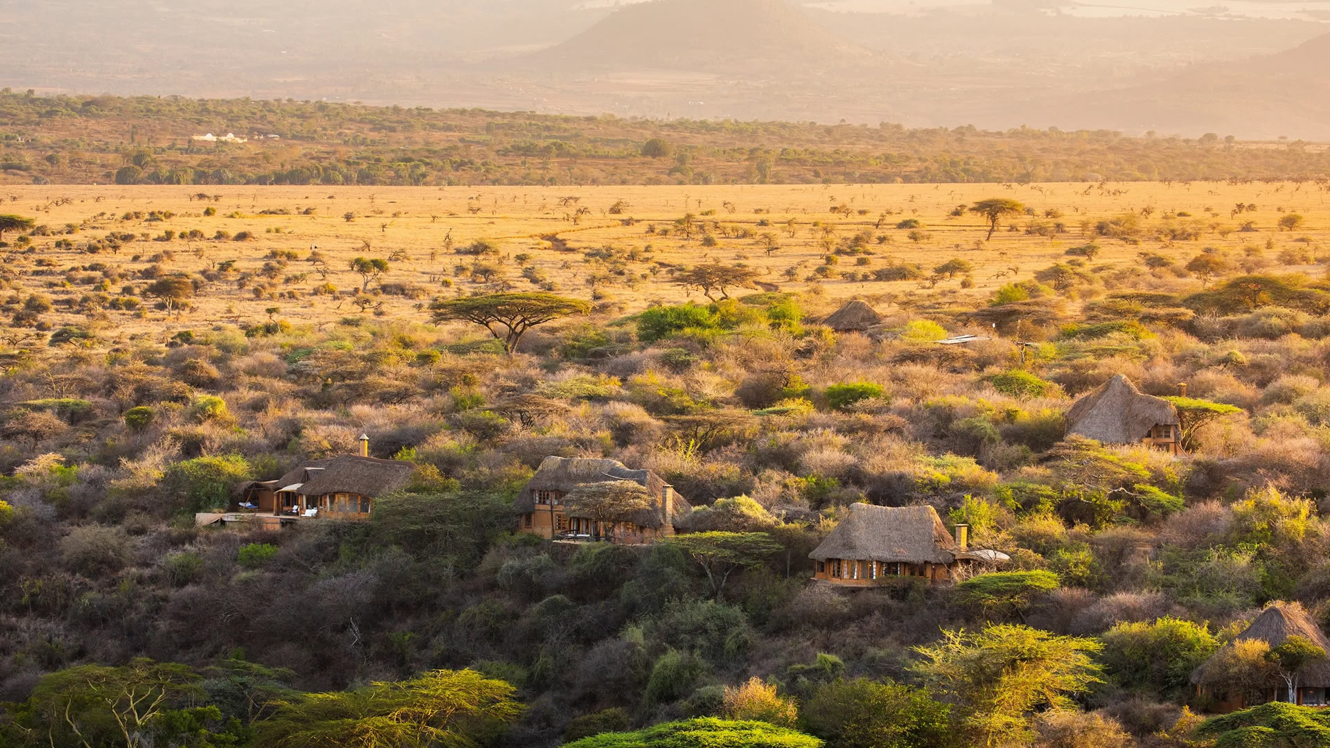 lewa wilderness camp
