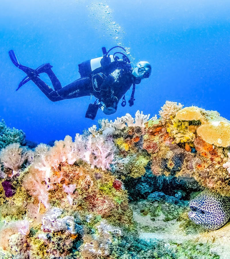kenya coast scuba diving