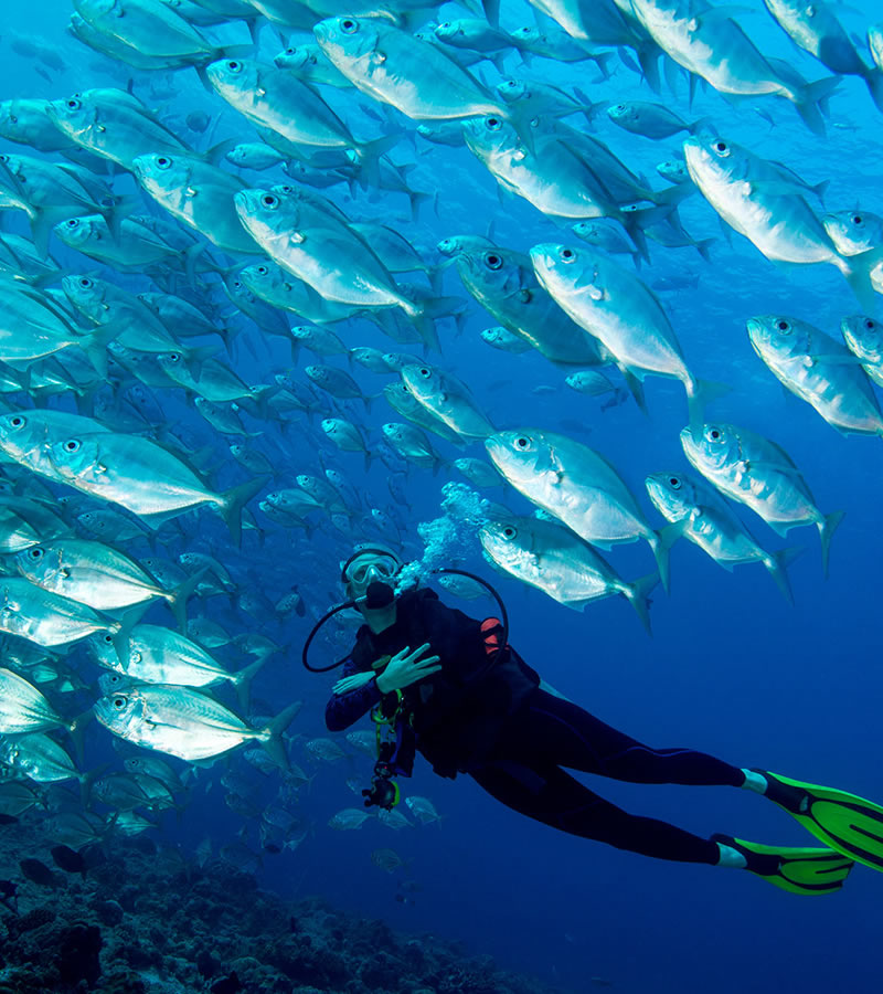 kenya coast scuba diving