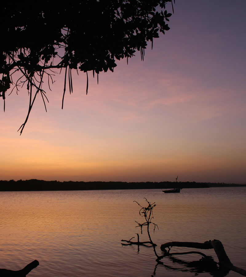 mida creek