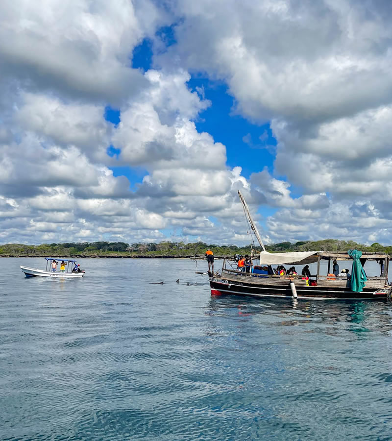 pili pipa dhow safari