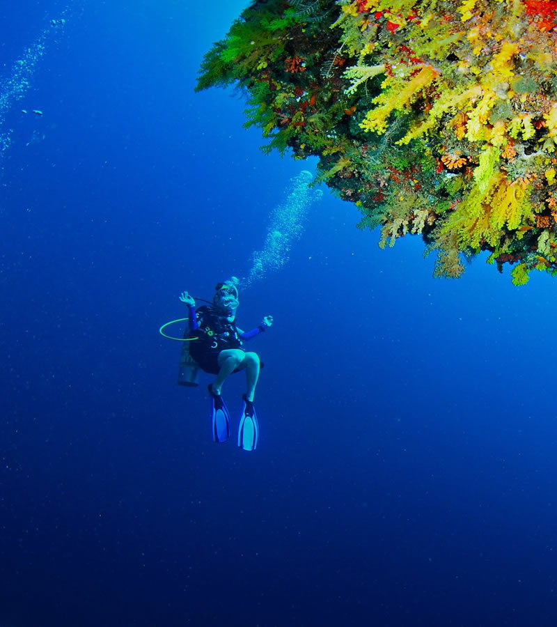 scuba diving in zanzibar