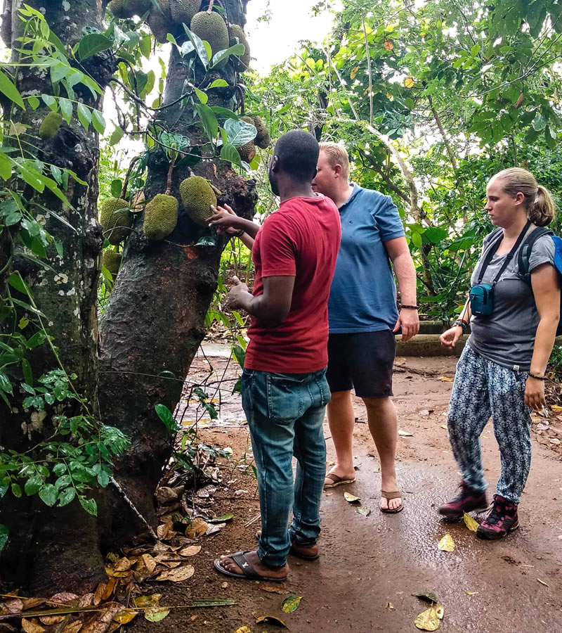 zanzibar spice tour