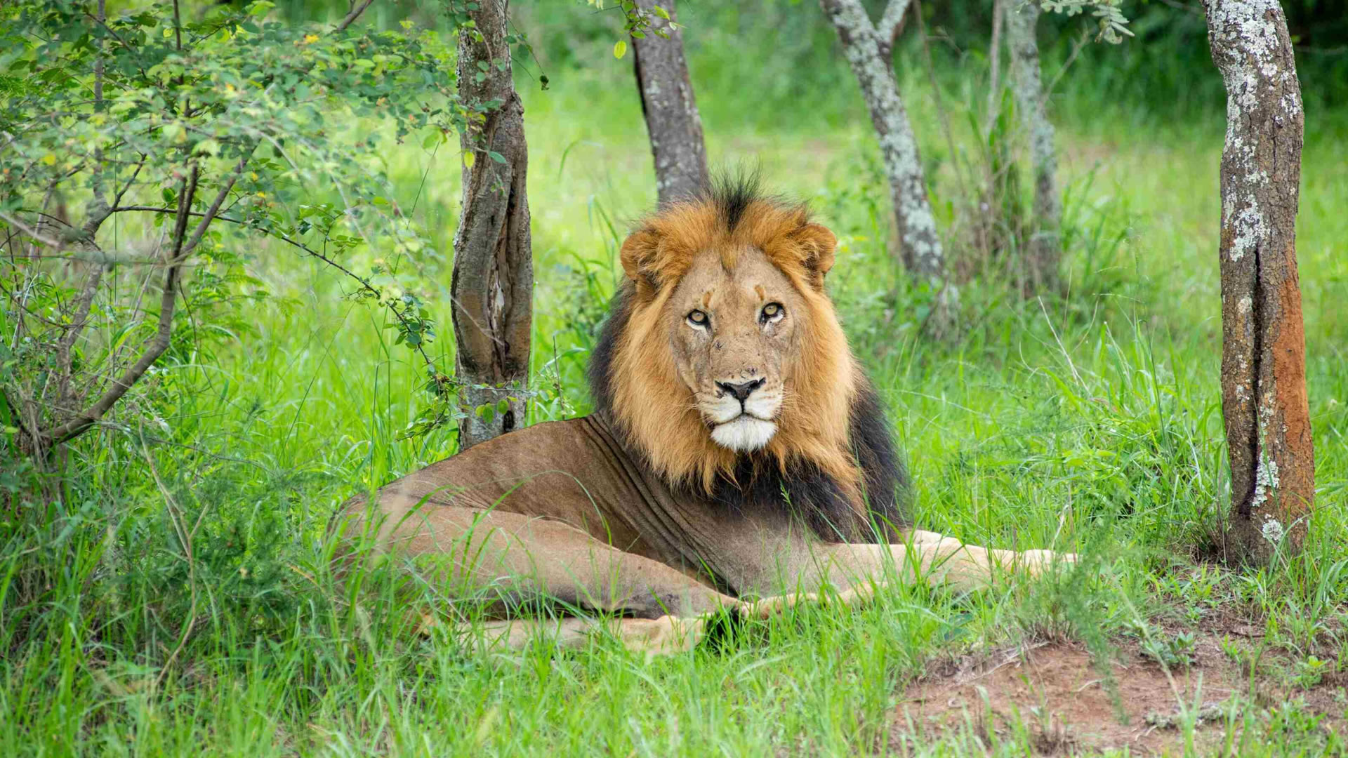 Akagera National Park