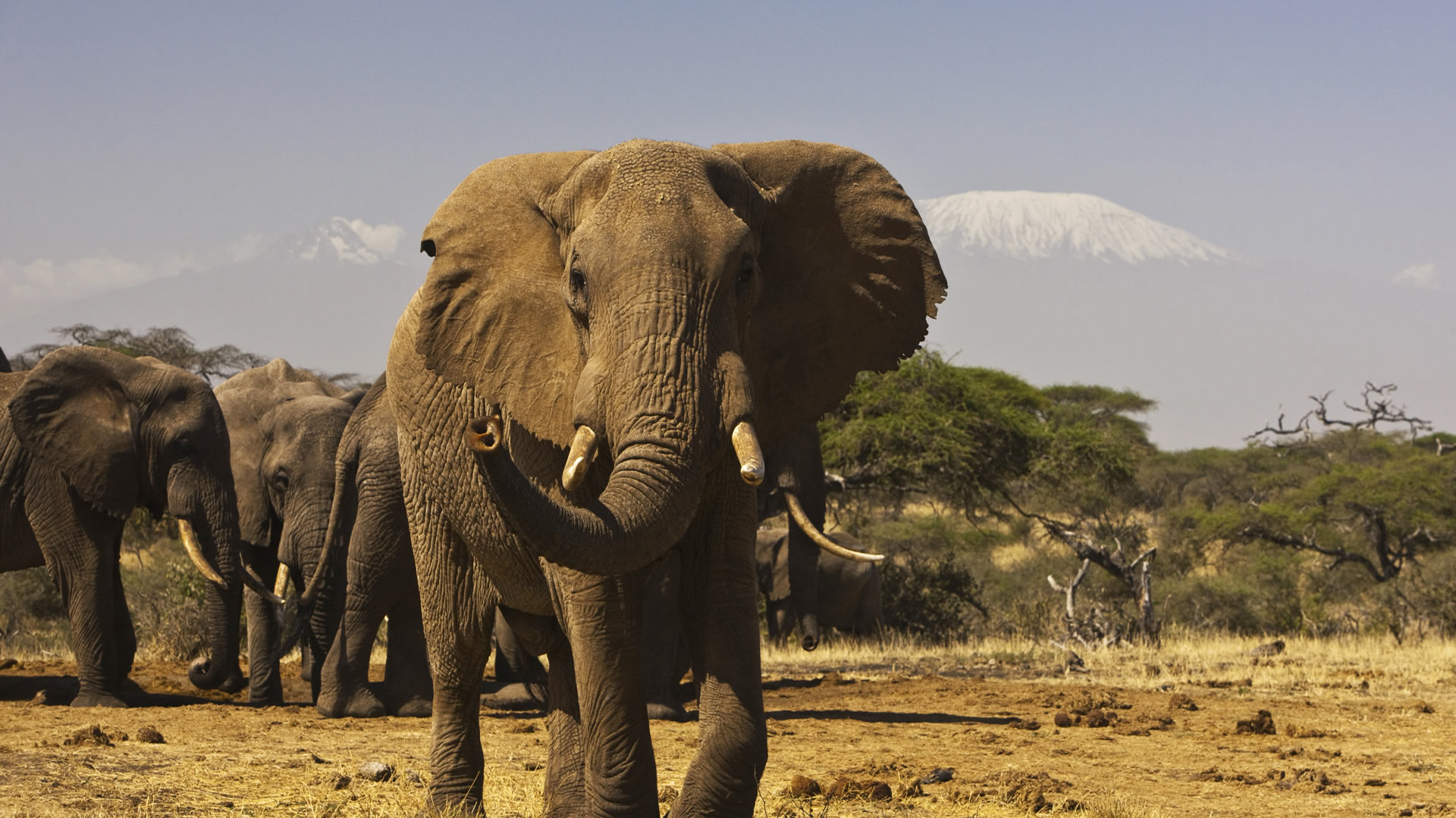 amboseli national park