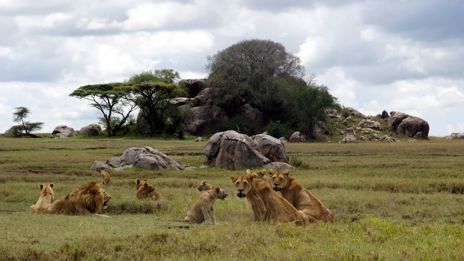 central serengeti