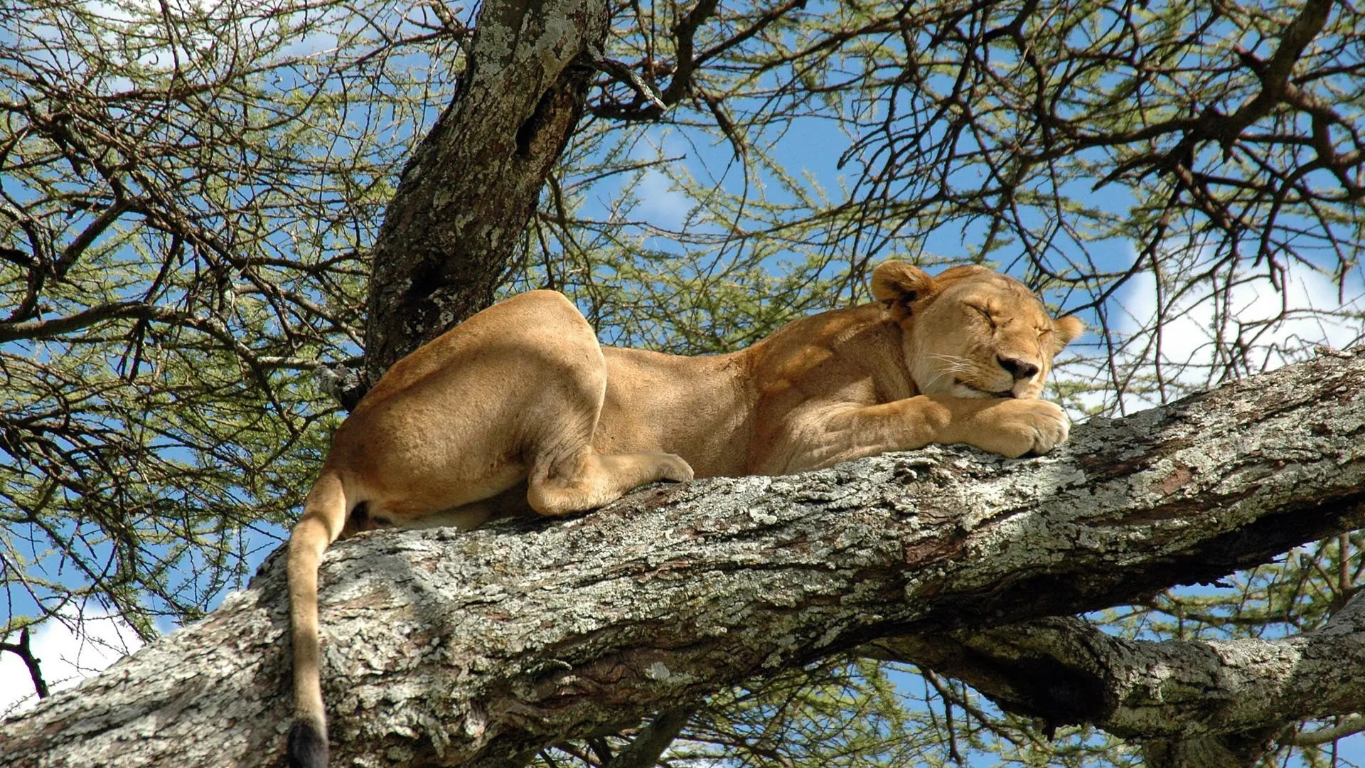 lake manyara national park