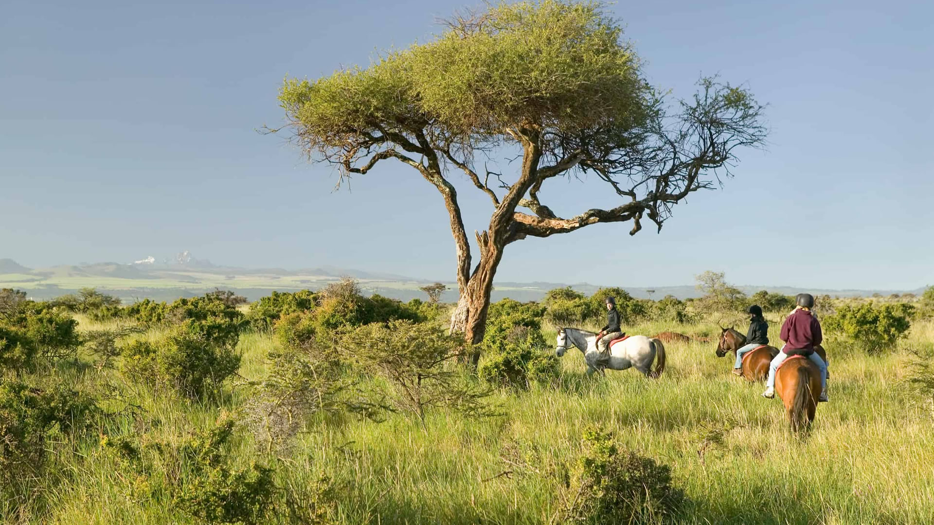 lewa conservancy