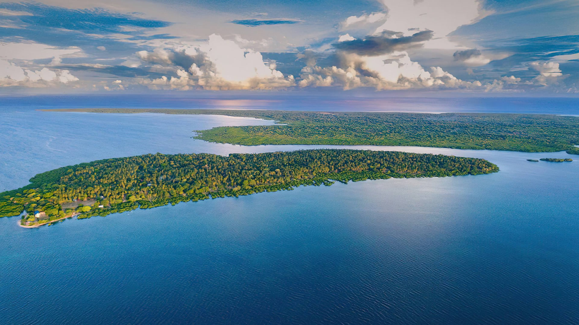 mafia island