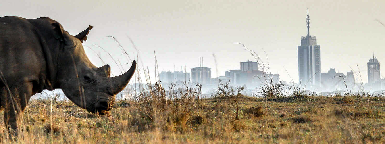 Nairobi National Park Nairobi National Park