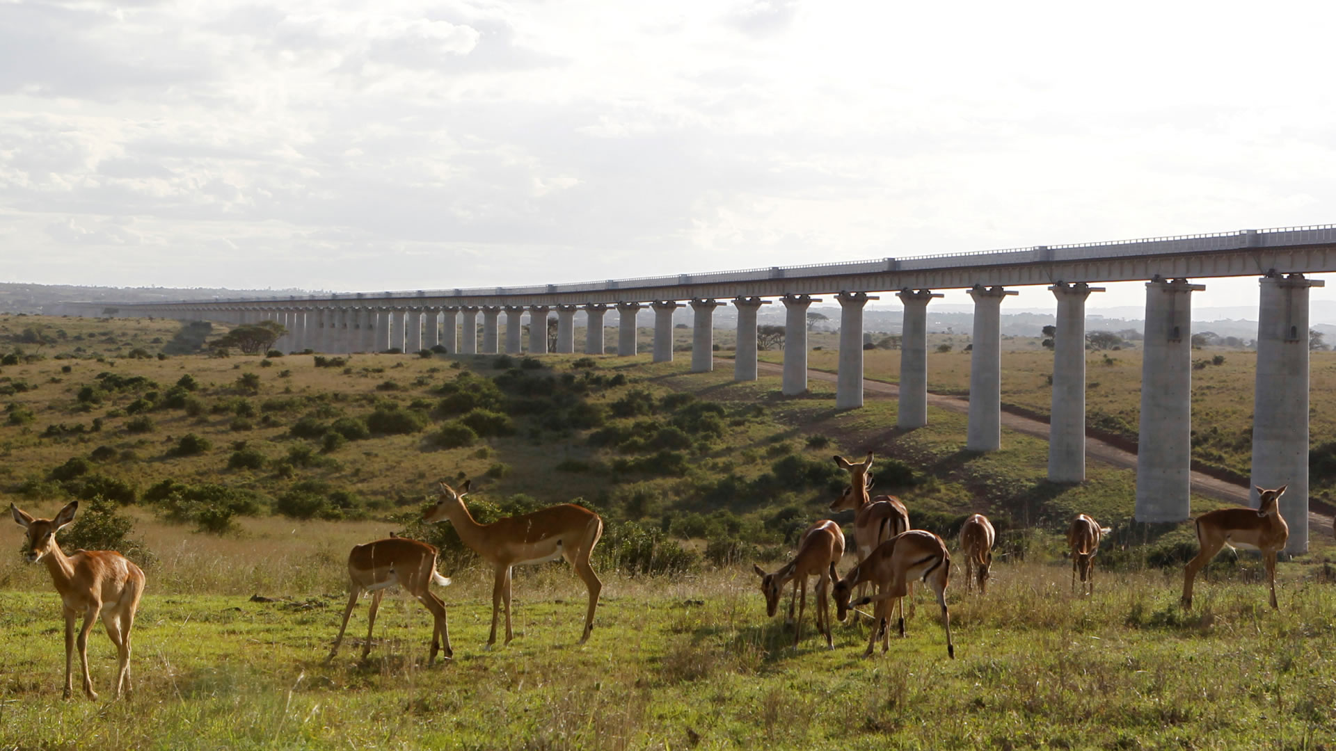 Nairobi National Park