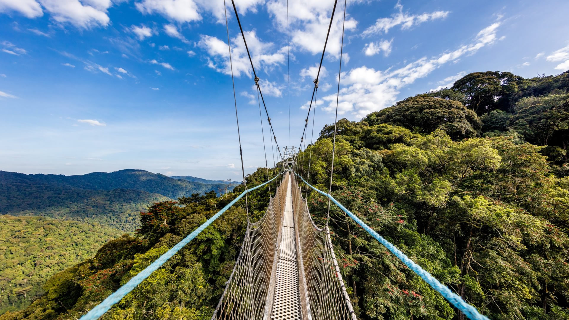 Nyungwe Forest National Park