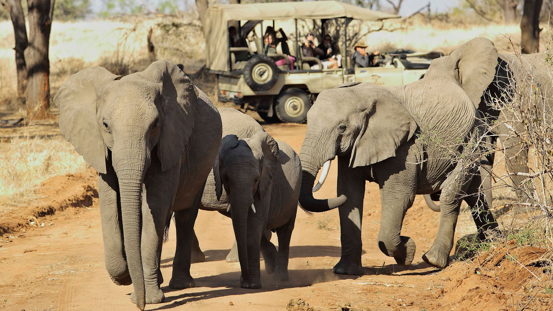 Ruaha National Park