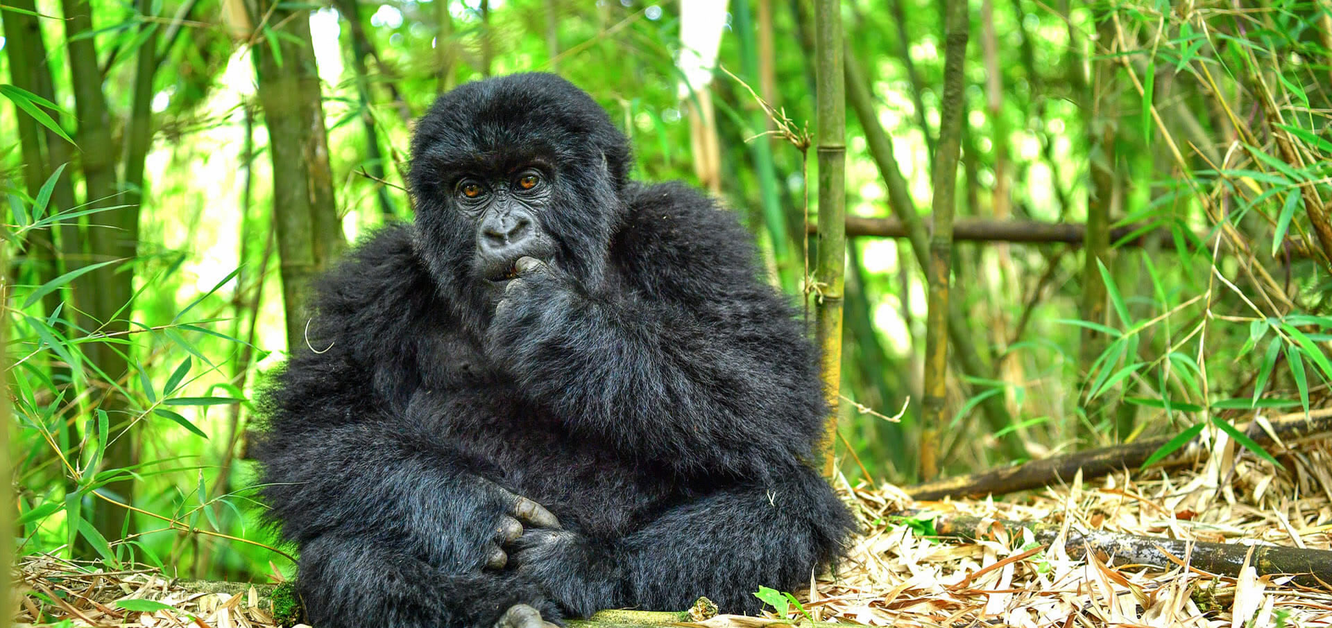 top destinations rwanda