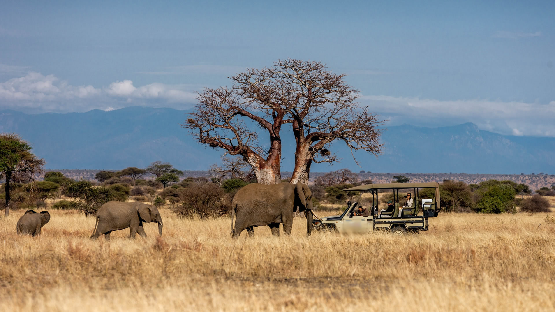 tarangire national park