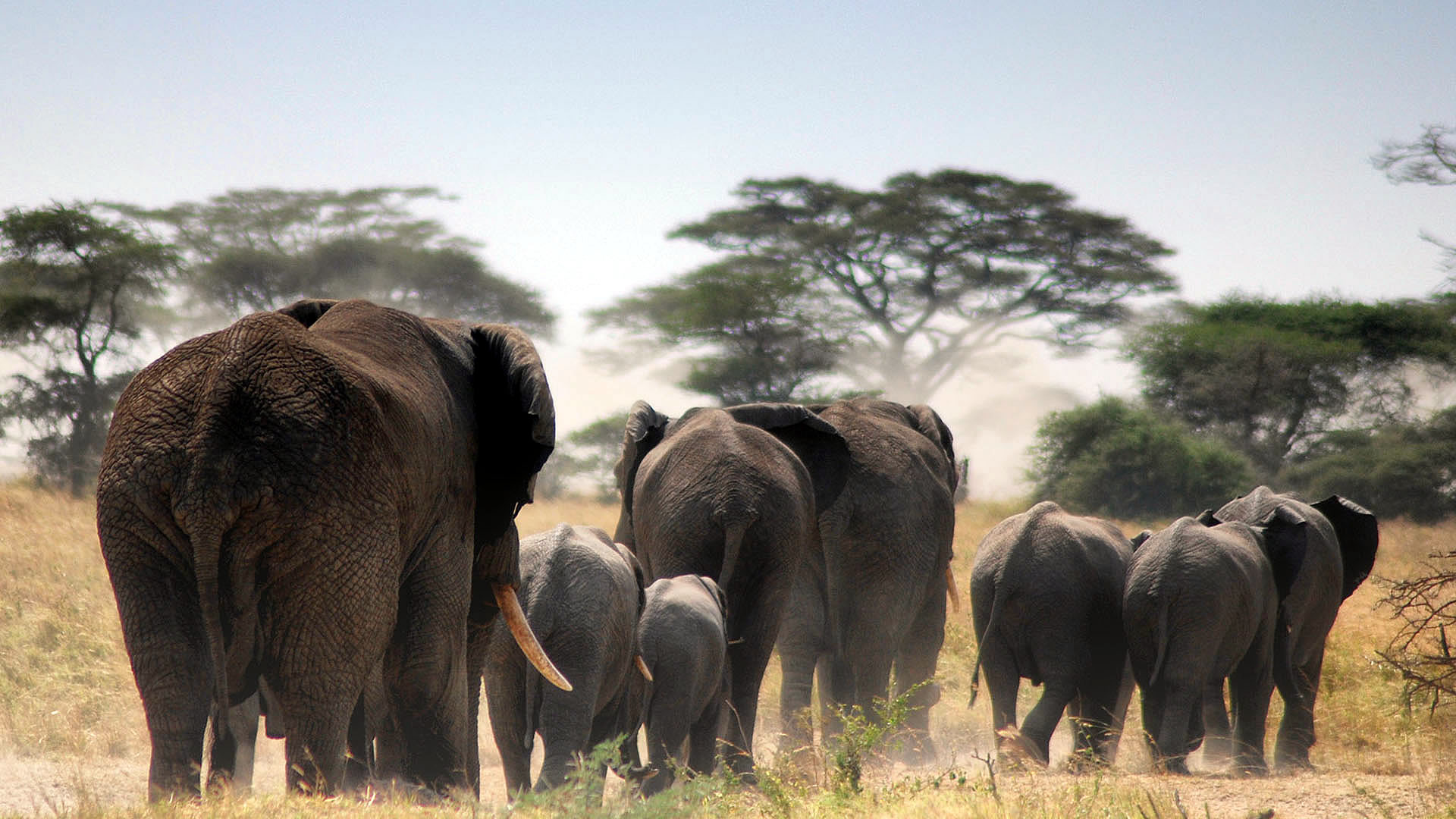 Tarangire National Park
