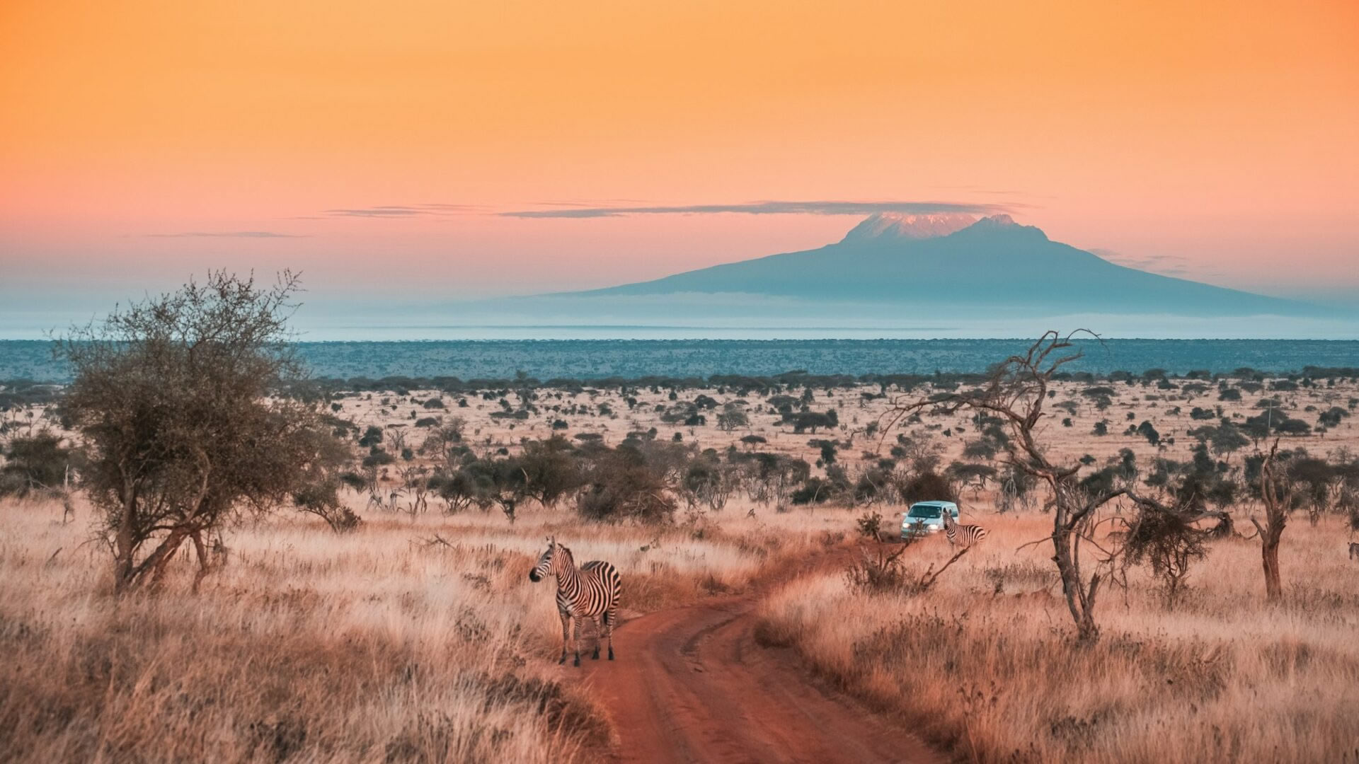 tsavo west national park