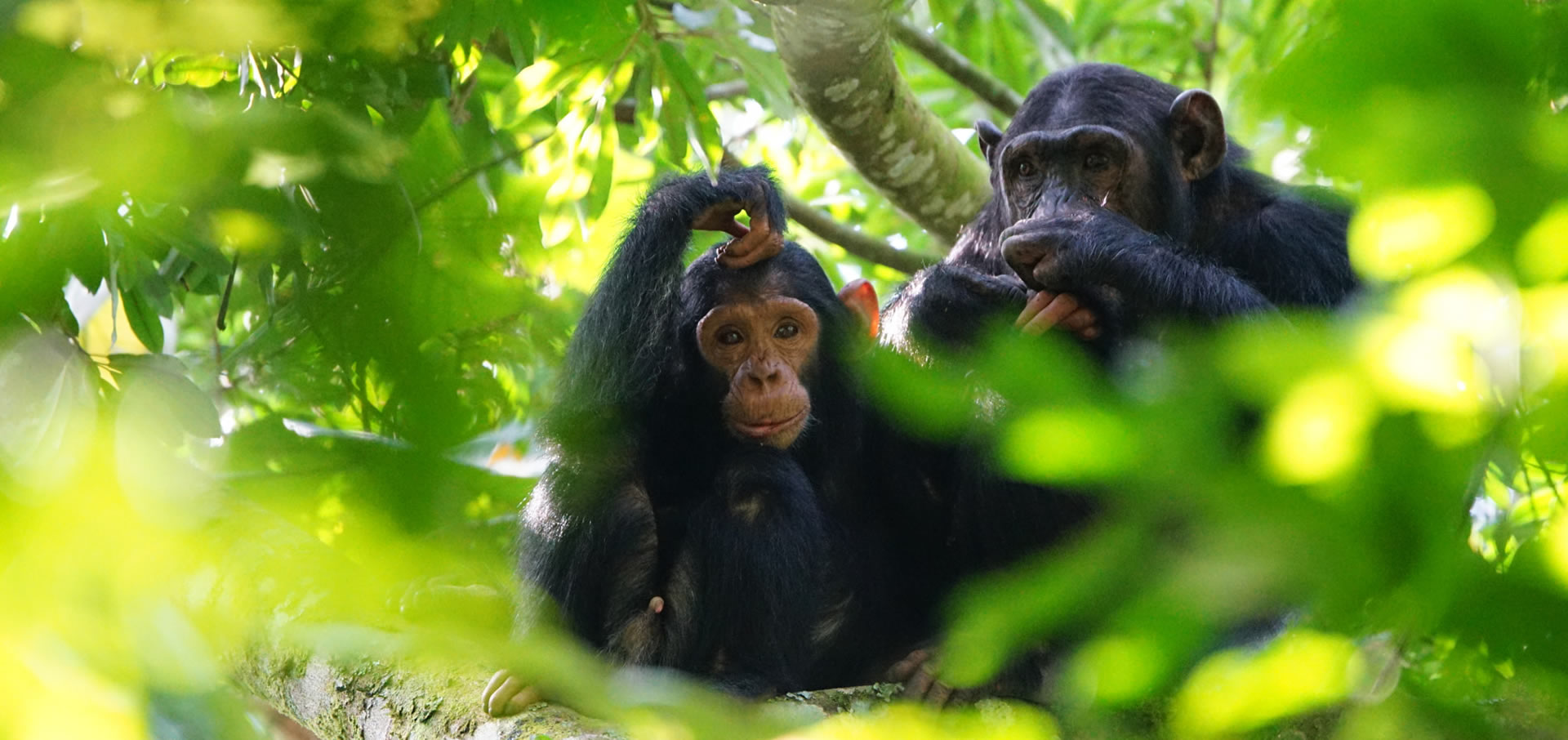 top destinations uganda