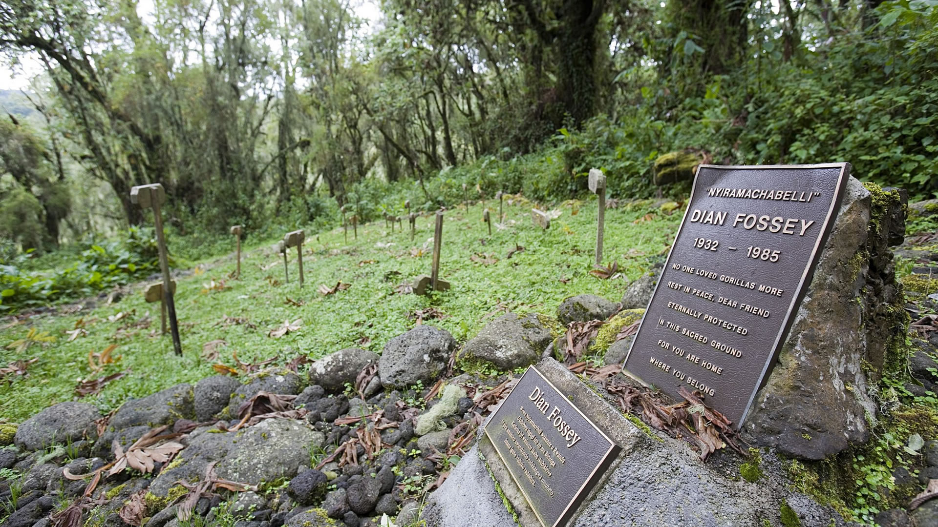 dian fossey tomb