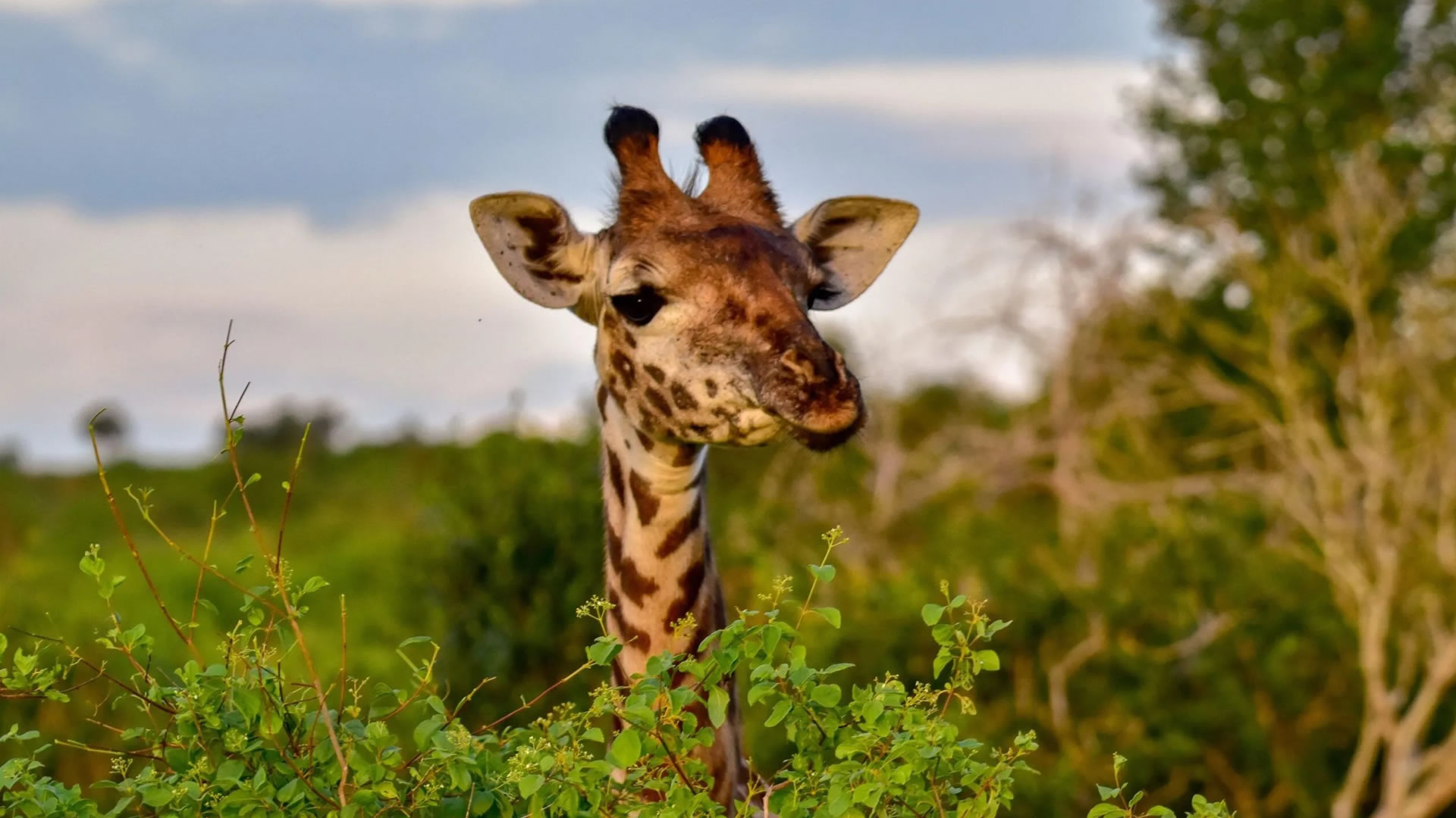 10 Days African Delights Expedition