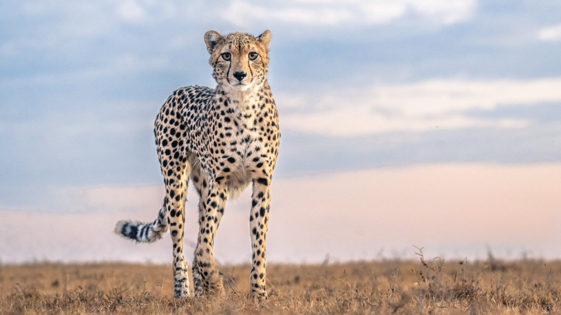 12days adventure luxury tour 12days adventure luxury tour